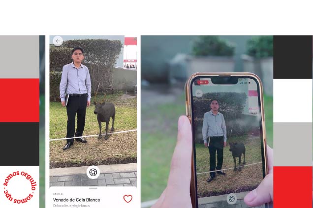 Alumnos de Ingeniería de Software crean innovadora app educativa en realidad aumentada